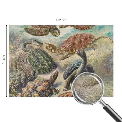 Papier peint panoramique chambre avec motif de faune de tortues
