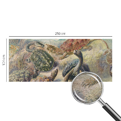 Papier peint panoramique chambre Fauna korytnačiek
