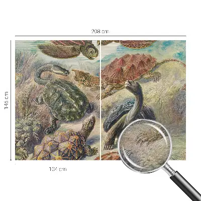 Papier peint panoramique chambre avec motif de faune de tortues
