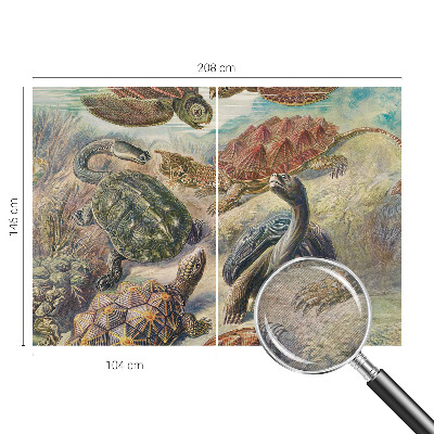 Papier peint panoramique chambre Fauna korytnačiek