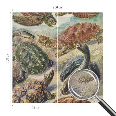 Papier peint panoramique chambre avec motif de faune de tortues
