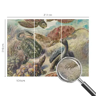 Papier peint panoramique chambre avec motif de faune de tortues