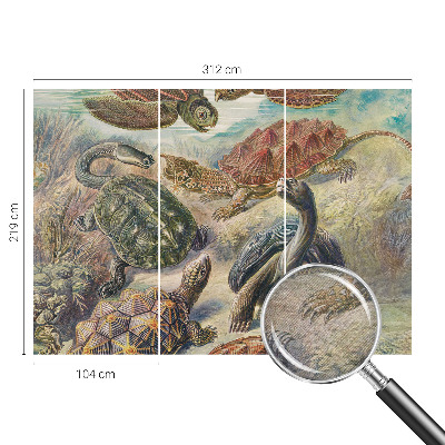 Papier peint panoramique chambre Fauna korytnačiek