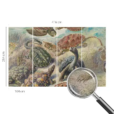 Papier peint panoramique chambre avec motif de faune de tortues
