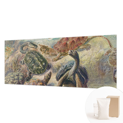 Papier peint panoramique chambre Fauna korytnačiek