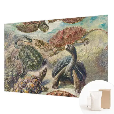 Papier peint panoramique chambre avec motif de faune de tortues