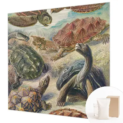 Papier peint panoramique chambre avec motif de faune de tortues
