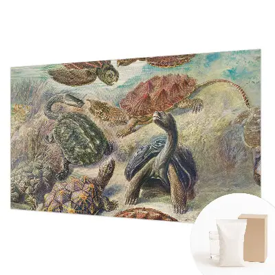 Papier peint panoramique chambre avec motif de faune de tortues
