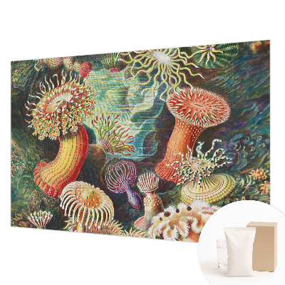 Papier peint panoramique chambre adulte Luxusné sasanky