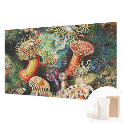 Papier peint panoramique chambre adulte Luxusné sasanky