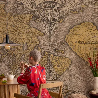 Papier peint panoramique intissé moderne avec un motif de cartographie historique