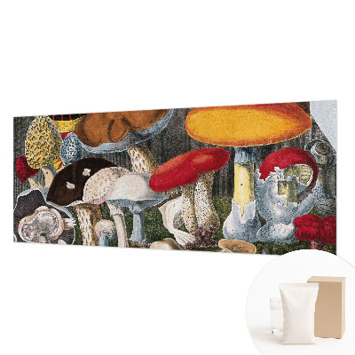 Papier peint photographique Botanické huby