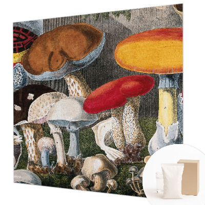 Papier peint photographique Botanické huby