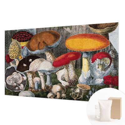 Papier peint photographique Botanické huby