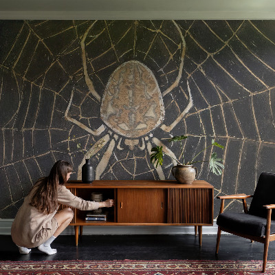 Papier peint photographique salon Pavučina