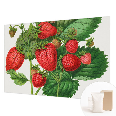 Décoration murale panoramique intissé avec motif de fruits estivaux