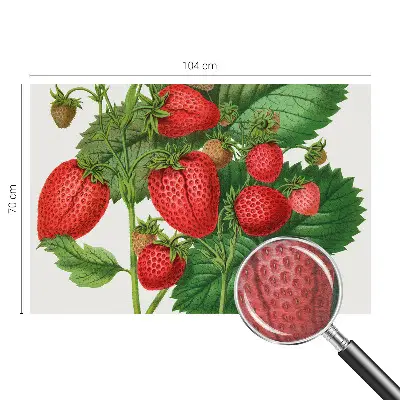 Papier peint photo grand format pour le mur Fruits d'été