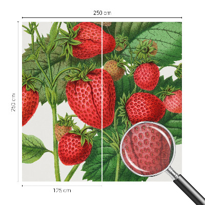 Décoration murale panoramique intissé avec motif de fruits estivaux
