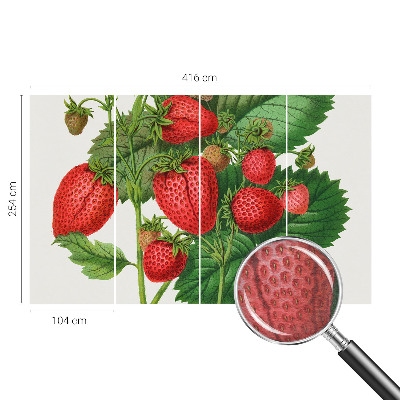 Décoration murale panoramique intissé avec motif de fruits estivaux