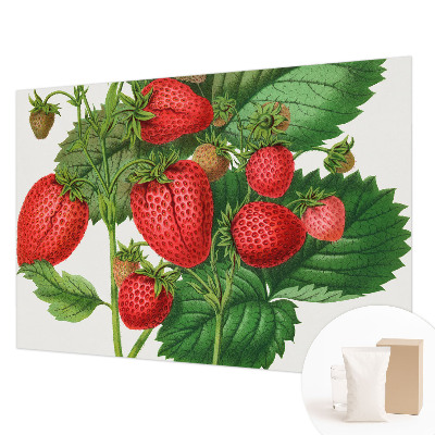 Décoration murale panoramique intissé avec motif de fruits estivaux