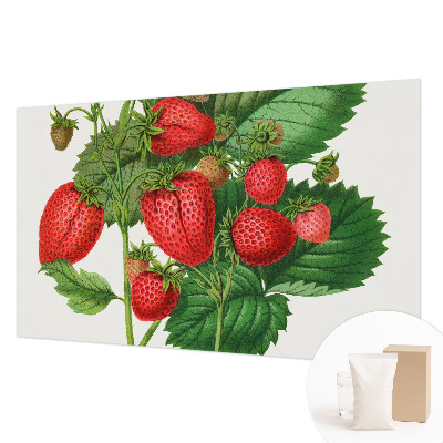 Décoration murale panoramique intissé avec motif de fruits estivaux
