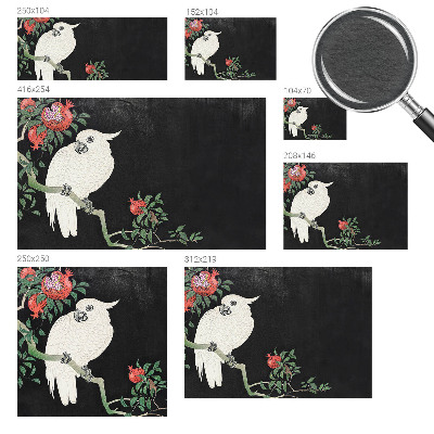 Tapisserie panoramique Papagáj z granátového jablka