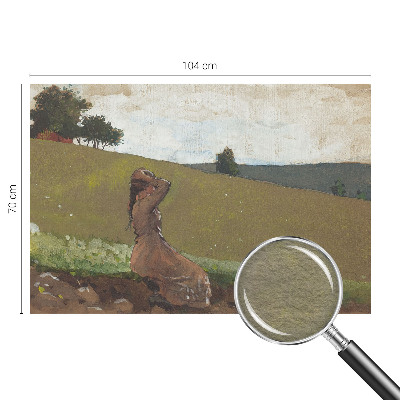 Papier peint panoramique chambre adulte Tichá scéna