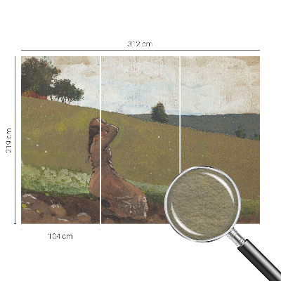 Papier peint panoramique chambre adulte Tichá scéna