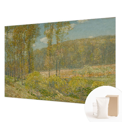 Papier peint panoramique intissé avec un motif de paysage forestier