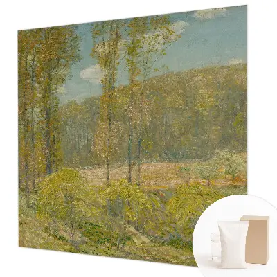 Papier peint photo grand format pour le mur paysage forestier