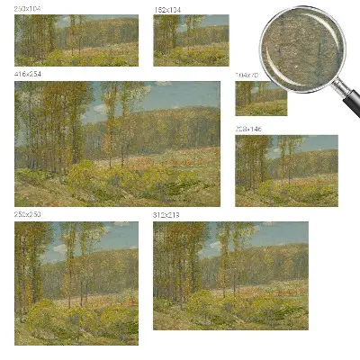 Papier peint photo grand format pour le mur paysage forestier
