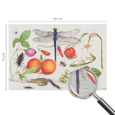Papier peint intissé imprimé Illustration de la nature