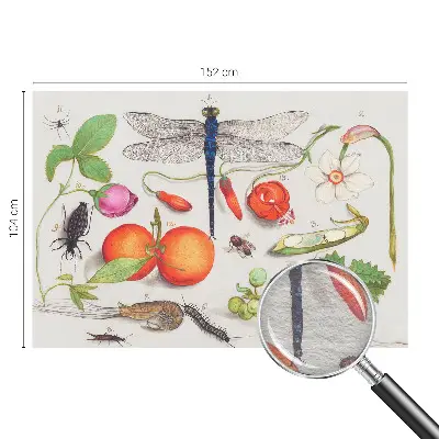 Papier peint intissé imprimé Illustration de la nature