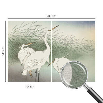 Papier peint photographique salon Volavky v tráve