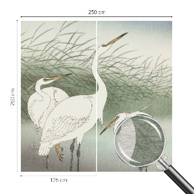 Papier peint photographique salon Volavky v tráve