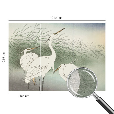 Papier peint photographique salon Volavky v tráve