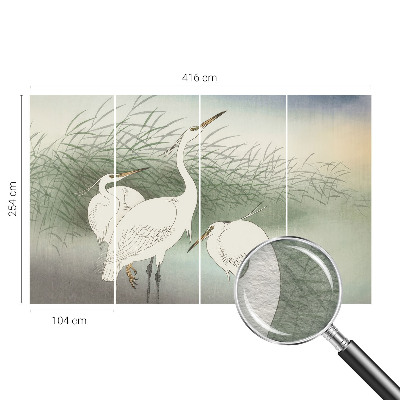 Papier peint photographique salon Volavky v tráve