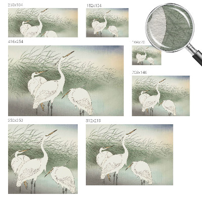 Papier peint photographique salon Volavky v tráve