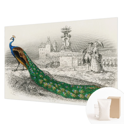 Poster mural panoramique avec un motif de plumes colorées