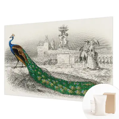 Papier peint intissé imprimé plumes colorées