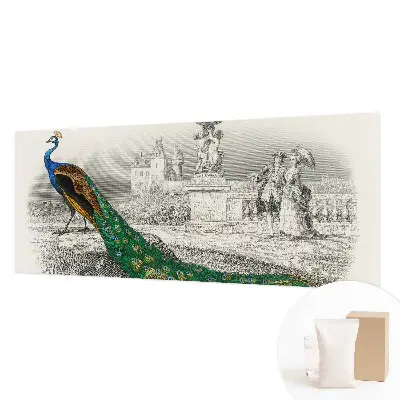 Poster mural panoramique avec un motif de plumes colorées