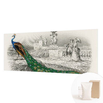 Poster mural panoramique Farebné perie