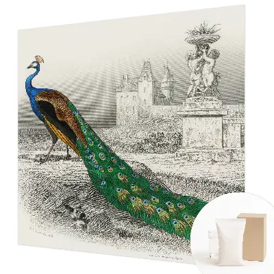 Poster mural panoramique avec un motif de plumes colorées