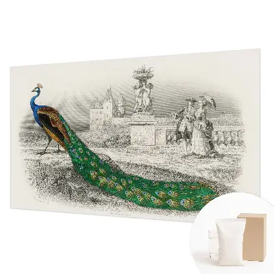 Poster mural panoramique avec un motif de plumes colorées