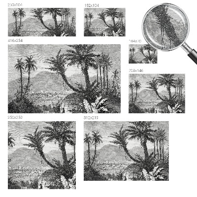 Papier peint panoramique avec un motif d'oasis tropicale