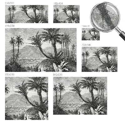Papier peint photo sur tissu non tissé oasis tropicale