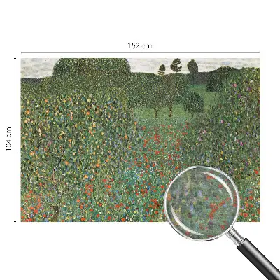 Papier peint photographique intissé prairie fleurie