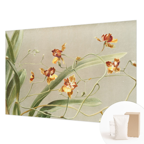 Papier peint photo avec un motif d'orchidées classiques