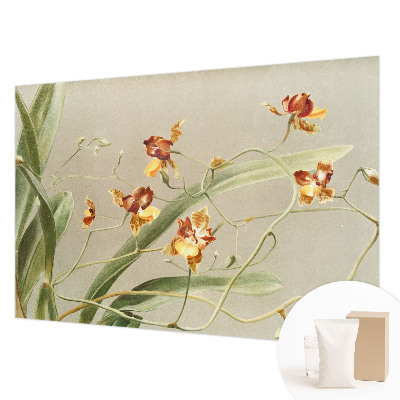 Papier peint photo avec un motif d'orchidées classiques