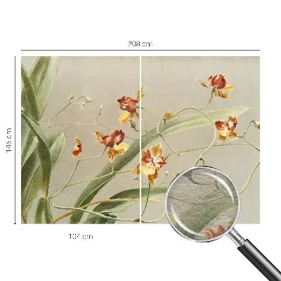 Papier peint photographique sur tissu non tissé Orchidées classiques